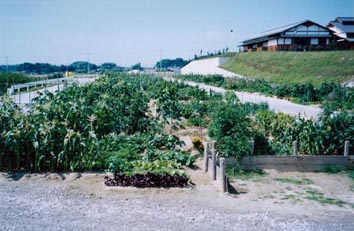 市民農園の写真
