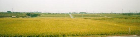 農地の写真