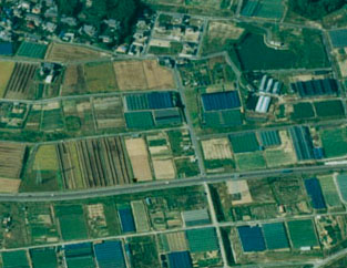 上空からの農用地の写真
