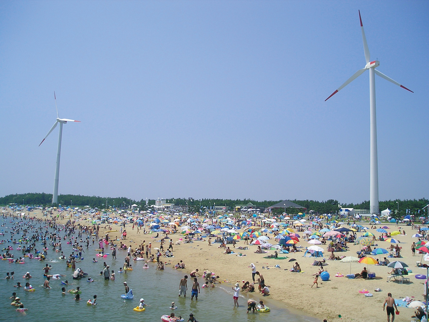 新舞子カーニバル