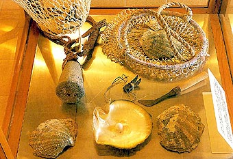 真珠漁の道具