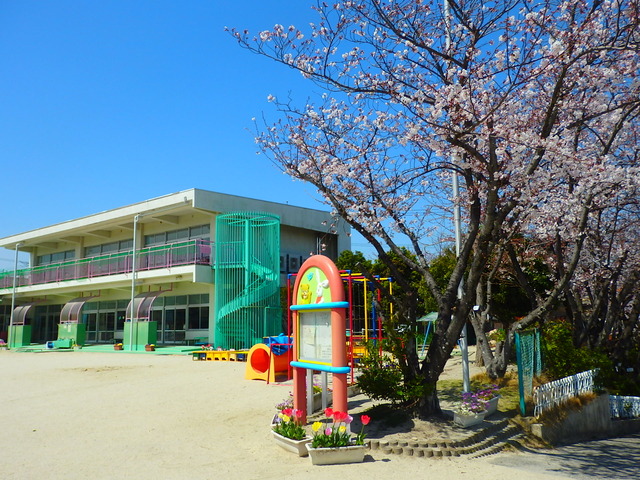 園舎と桜