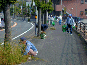 清掃活動写真３