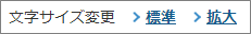 文字サイズ変更