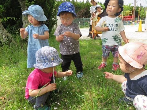1歳児戸外の自然に触れて遊んでいるところ