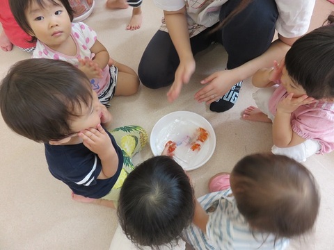 １歳児氷に触れることを楽しむ様子