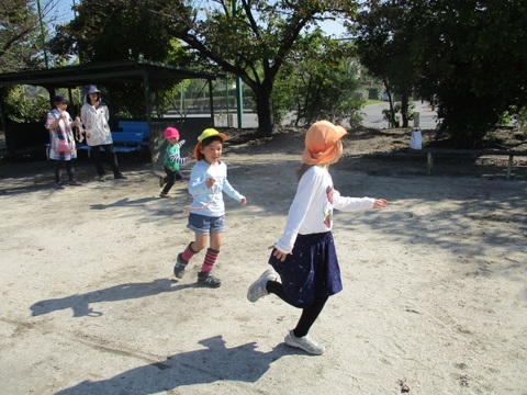 しっぽとりをしている