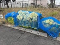 排出状況（可燃３）