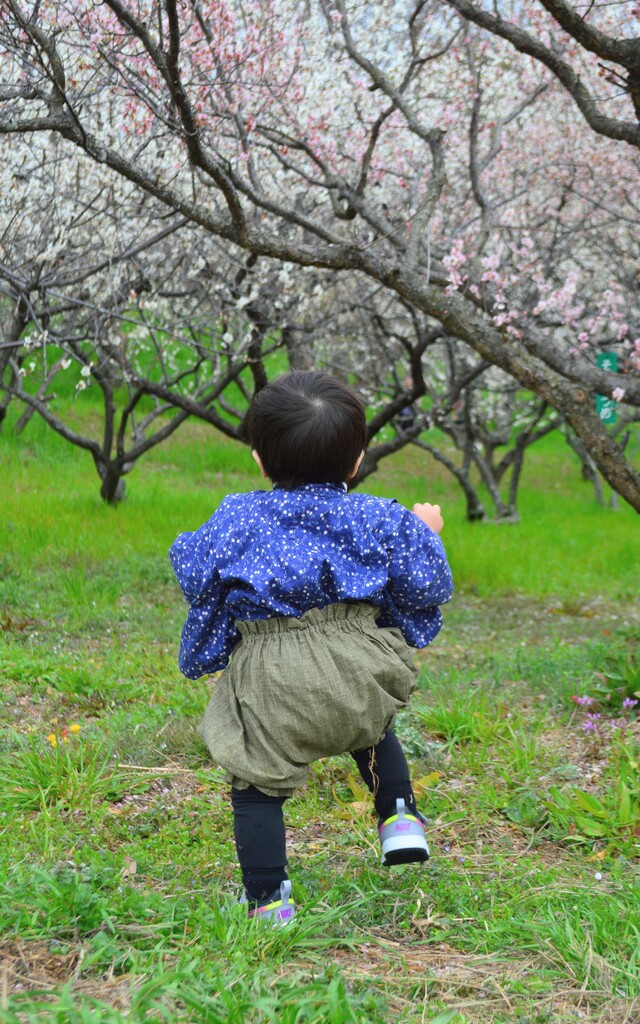 ウメコン入賞⑨