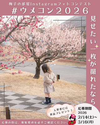 ウメコンチラシ