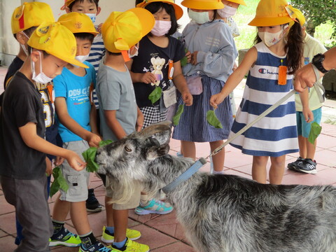 ふれあい学習２