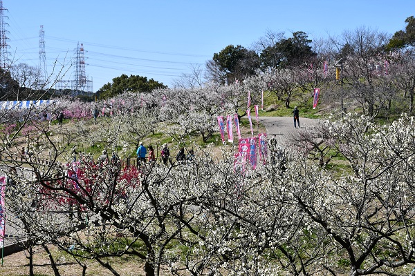 佐布里池