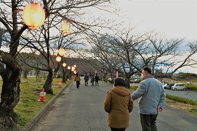 桜まつり３