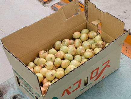 １箱５㎏・Ｍ玉で約２５０個入る