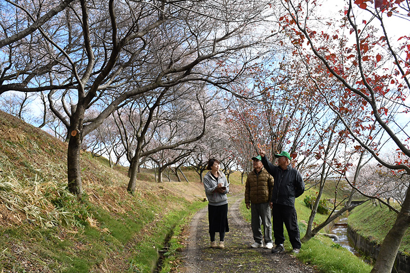 里山を案内される記者