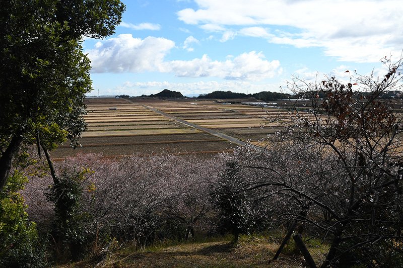 里山の山頂からの眺め