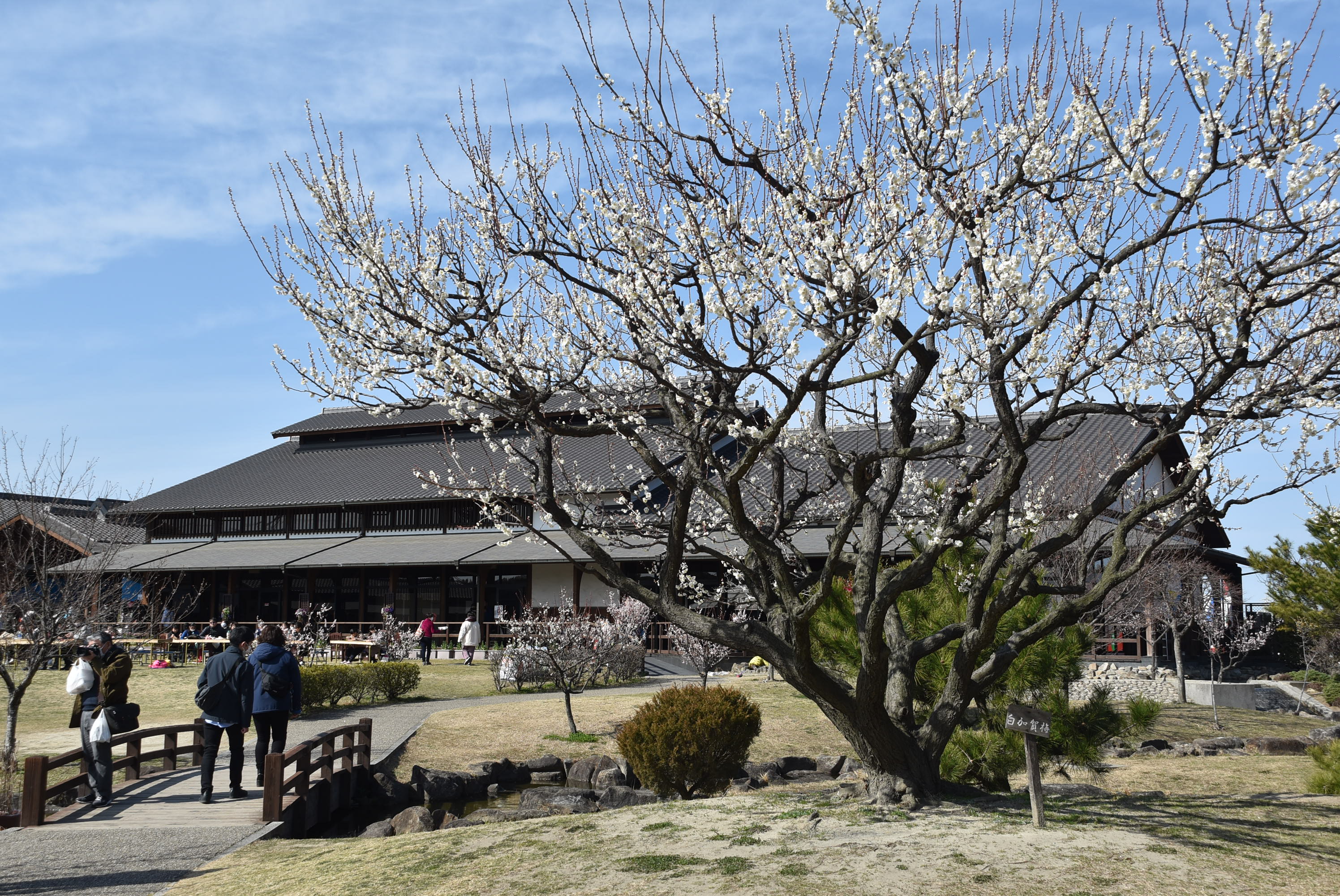 佐布里緑と花のふれあい公園