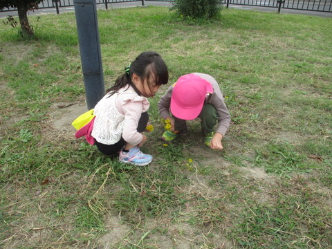 園外の公園で花を摘んでいる様子（年中組）