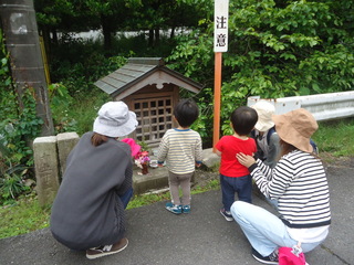 散歩先で気になるものを見ている