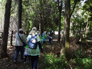 林の中を歩いている