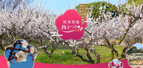 観光協会バナー