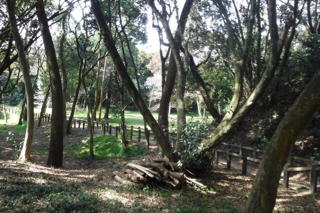 DSCF6886.JPG