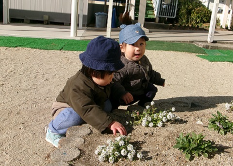 0歳児戸外の自然に触れて遊んでいるところ