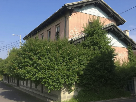 管理されず道路に大きくはみ出した樹木