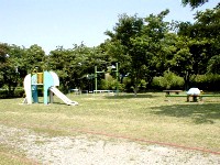 公園部の遊具 公園部の遊具