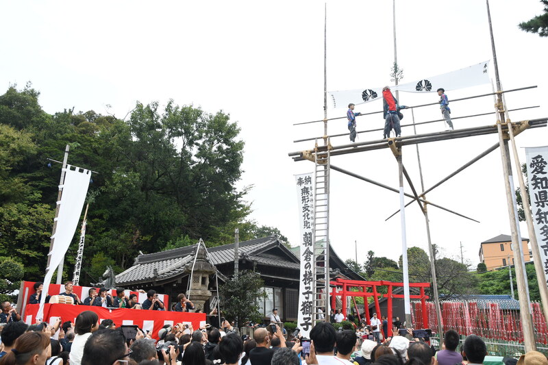 はしごじし